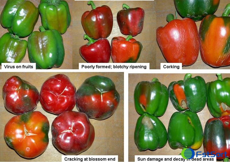 images/1753780932107pepper optical grader.jpg